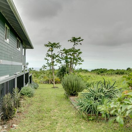 The Aloha Green House Retreat With Ocean Views! Naalehu Exterior photo