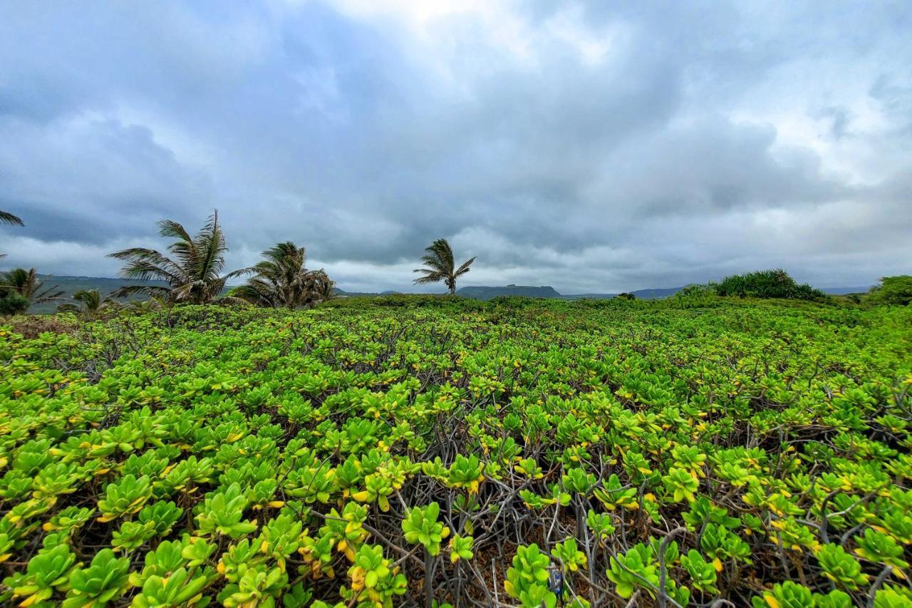 The Aloha Green House Retreat With Ocean Views! Naalehu Exterior photo